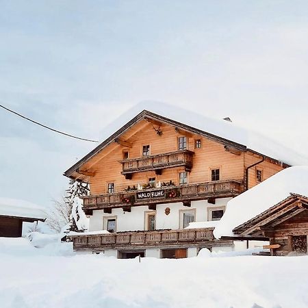 Waldruhe Appartements Sankt Jakob in Defereggen Exterior foto